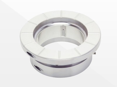 Babbitt rolando arbusto